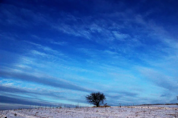 Otroliga Vågor Vinter Blå Himlen — Stockfoto