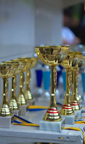 Awards, cups, medals and trophies to the winners at the exhibiti