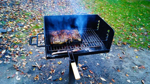 Préparation Viande Poulet Sur Barbecue Fixe Élevé Sur Nature — Photo