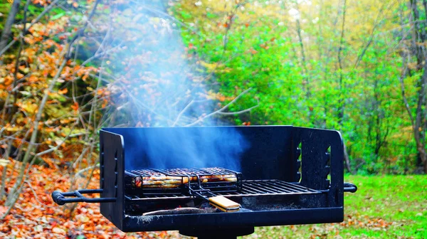 Préparation de viande de poulet sur un gril en plein air — Photo