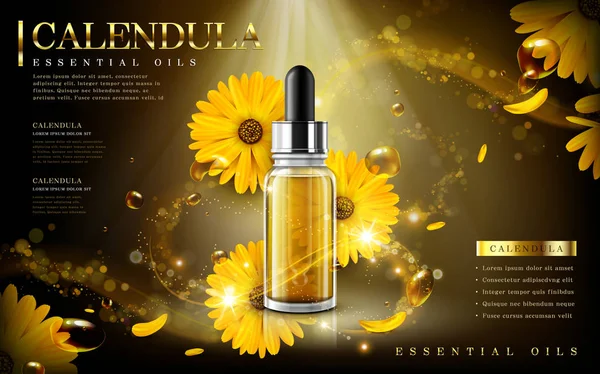 Calendula uçucu yağ reklam — Stok Vektör