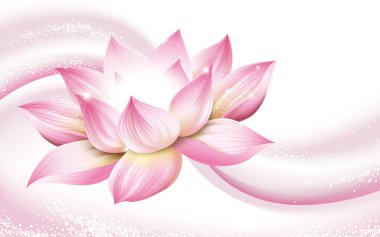 Lotus çiçeği arka plan