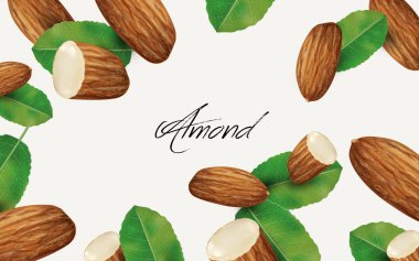 almond and leaf element clipart