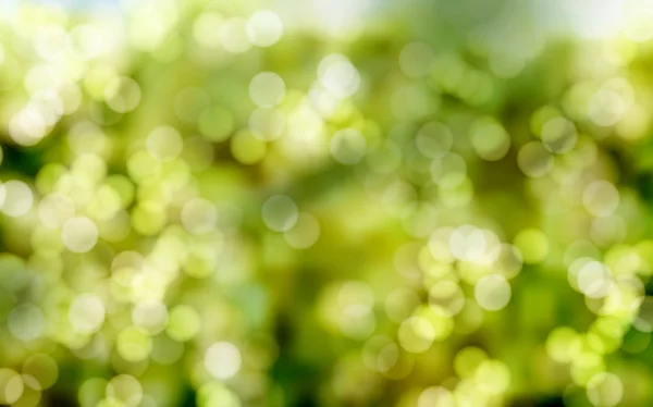 Green blur background — Stock Vector