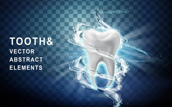 Modèle de dent lavé — Image vectorielle