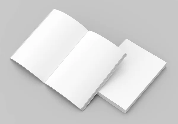 空白的书籍设计 — 图库照片