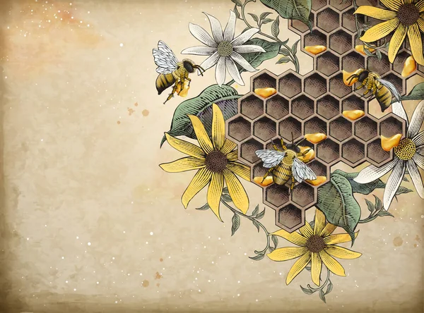 Abeja de miel y colmenar — Archivo Imágenes Vectoriales