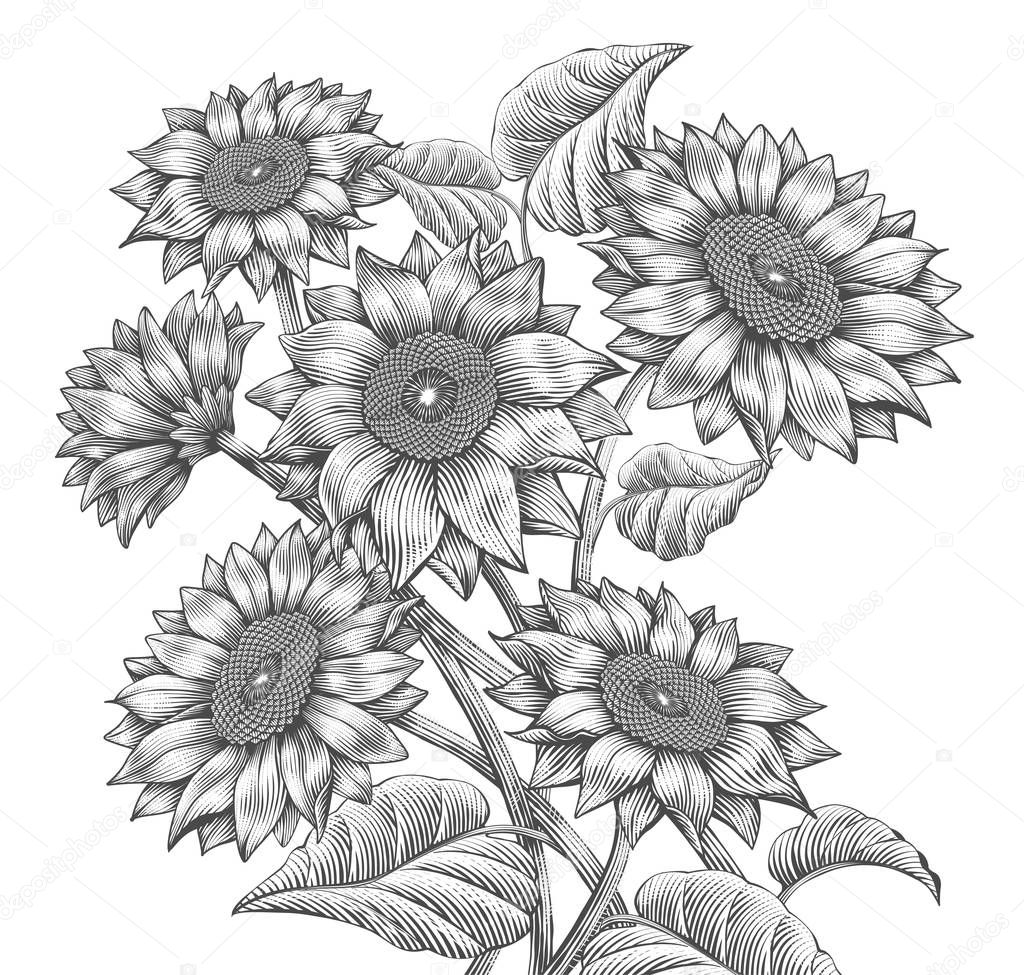 Download Retro Sunflower elements — Stock Vector © kchungtw #184065248