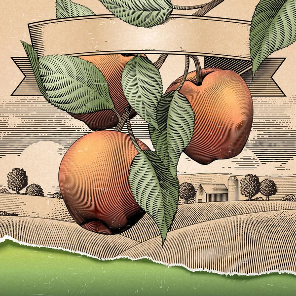 Retro elma bahçesi — Stok Vektör