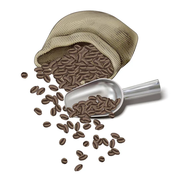 Engraving coffee beans in jute bag — Stock Vector