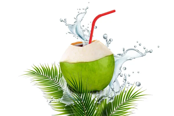 Eau de coco avec éclaboussures liquides — Image vectorielle