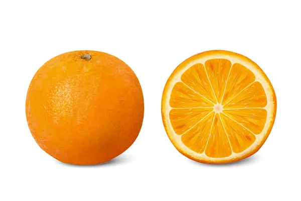 Heerlijke citrus illustratie — Stockvector