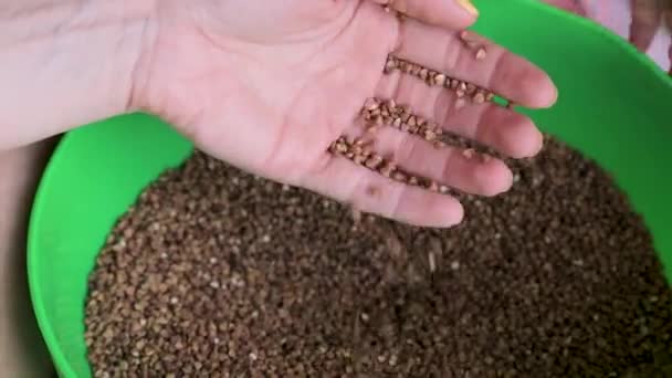 Hands Pass Buckwheat Other Hands — Stock Video
