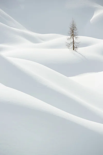 一人で木の雪、冬の山の風景、 — ストック写真