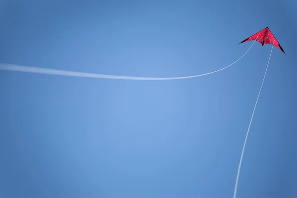 Blue sky, red kite flies high. White strings. — Stock Photo, Image