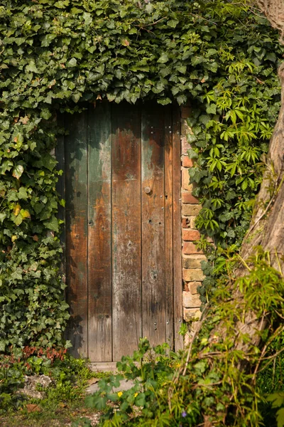 Jardín romántico puerta de madera ricamente plantado alrededor — Foto de Stock