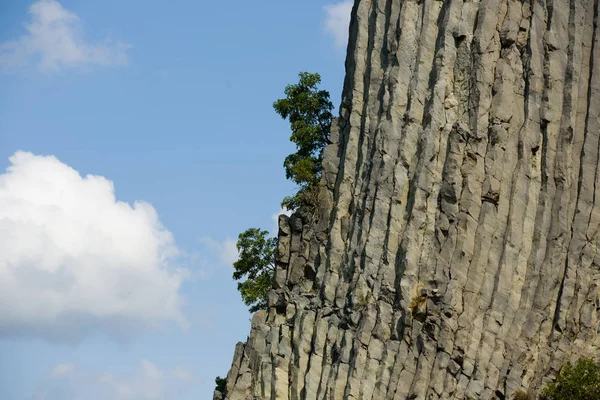 Rough, unique vulcanic rock formations with single trees on the edge — Stock Photo, Image