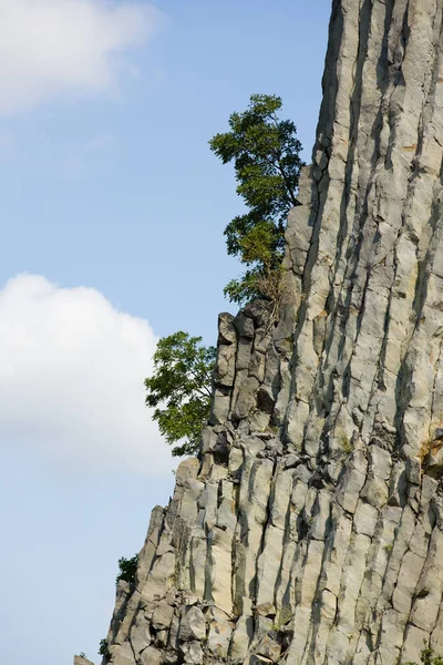 Formações rochosas vulcânicas ásperas e únicas com árvores únicas na borda — Fotografia de Stock