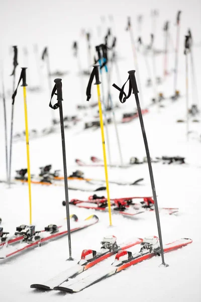 Parking Skis Scène Hivernale Enneigée Côté Une Piste Ski — Photo