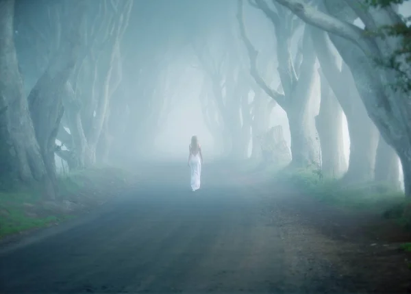 Karanlık Hedges Rlanda Adamlara Ağaç Road Beyaz Uzun Elbiseli Kadın — Stok fotoğraf