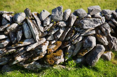 Tipik İrlandalı taş çit ayrıntı, yeşil çimenli alan