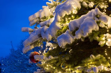 Akşam vakti, dışarıda parlayan Noel süslemeleri ile karlar çam ağacını kapladı..