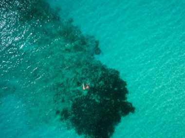 İki insan birlikte yeşil tropikal suda şnorkelle yüzüyor. Kuş bakışı hava aracı görüntüsü.