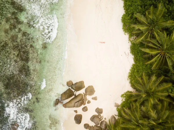 Praia Tropical Com Palmeiras Praia Areia Rochas Típicas Granito Uma — Fotografia de Stock