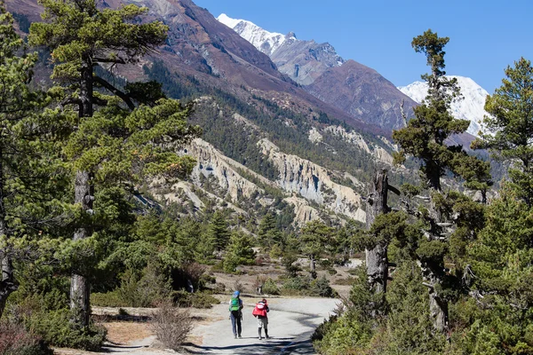 在喜玛拉雅山脉徒步旅行 — 图库照片