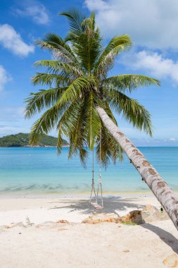 Güzel tropikal plaj, palmiye ağacı ve deniz adası Koh Samui, Tayland su