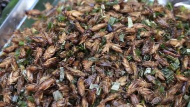 Yenilebilir kavrulmuş ve baharatlı yemek böcekleri. Hata sokak gıda Tayland kızarmış. Fried böcek Tay piyasada besindir  