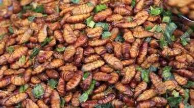 Yenilebilir kavrulmuş ve baharatlı yemek solucan, böcek sokak gıda Tayland kızarmış. Fried larva Tay piyasada besindir  
