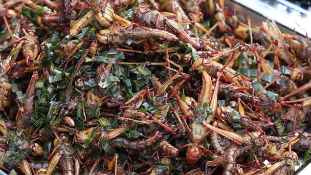 Edible roasted and spiced meal grasshoppers. Grig fried on street food in Thailand. Fried insect is the food on the Thai market — Stock Video