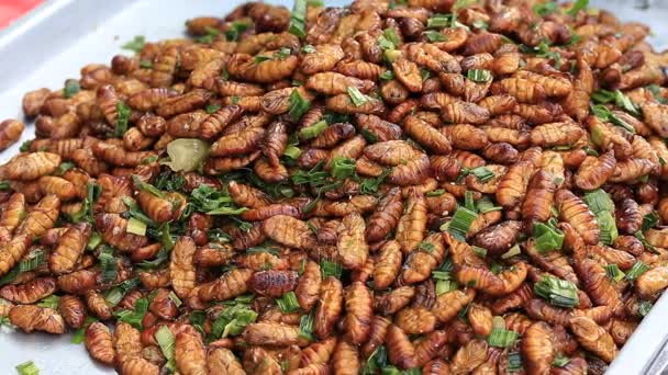 Gusanos comestibles asados y especiados, Bugs fritos en comida callejera en Tailandia. La larva frita es la comida en el mercado tailandés — Vídeos de Stock