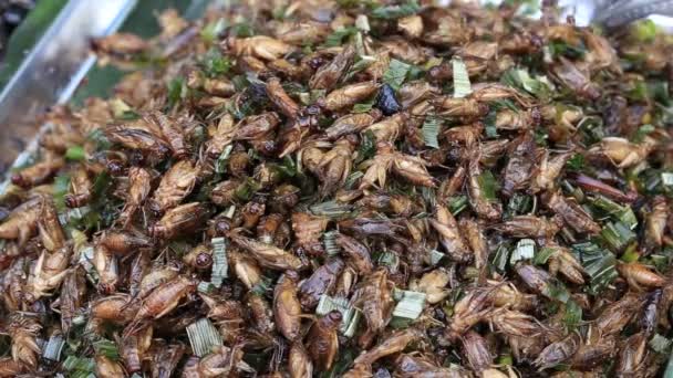 Besouros comestíveis assados e temperados. Bug frito em comida de rua na Tailândia. Inseto frito é a comida no mercado tailandês — Vídeo de Stock