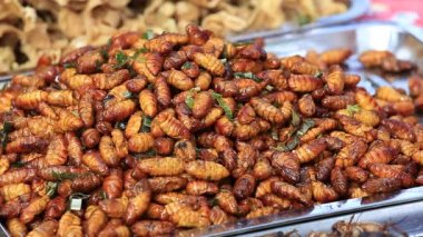 Yenilebilir kavrulmuş ve baharatlı yemek solucan, böcek sokak gıda Tayland kızarmış. Fried larva Tay Pazar portre üzerinde besindir.