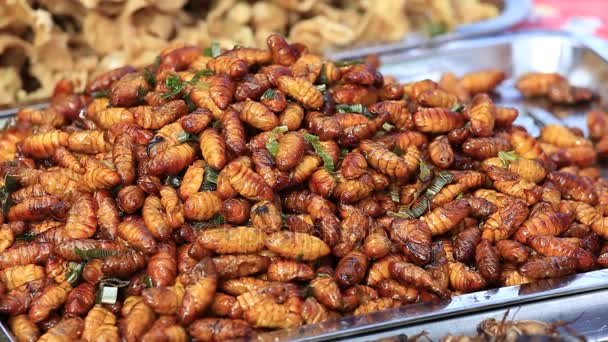 Съедобные жареные и пряные пищевые черви, жуки жарились на уличной еде в Таиланде. Жареная личинка это еда на тайском рынке крупным планом. . — стоковое видео