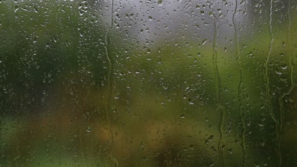 Día lluvioso tropical en otoño. Las gotas de lluvia en la ventana de la casa. Enfócate en las gotas de lluvia que corren por la ventana, grandes hojas de palma verde borrosas de fondo. Isla Koh Phangan, Tailandia — Vídeos de Stock