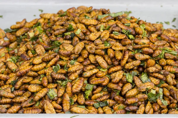 Edible roasted and spiced meal worms, Bugs fried on street food in Thailand. Fried larva is the food on the Thai market close up.