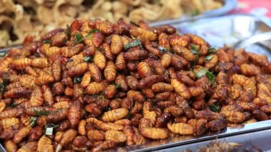 Yenilebilir kavrulmuş ve baharatlı yemek solucan, böcek sokak gıda Tayland kızarmış. Fried larva Tay piyasada besindir  