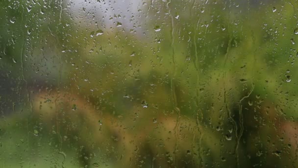 Tropiska regnig dag i höst. Regndroppar på hus fönsterglas. Fokus på regn droppar kör ner fönstret, stora gröna palmblad bakgrunden suddig. Thailand — Stockvideo