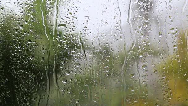 Тропический дождливый день осенью. Капли дождя на оконном стекле. Сосредоточьтесь на дождевых каплях, стекающих по окну, на фоне больших зеленых пальмовых листьев. Таиланд — стоковое видео