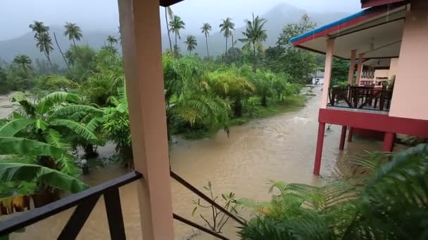 Inundações e chuva tropical na rua em Koh Phangan, Tailândia — Vídeo de Stock