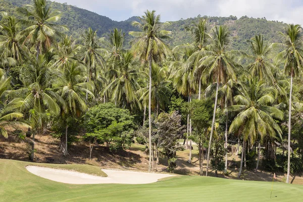 Belo campo de golfe e palmeira. Ilha Koh Samui, Tailândia — Fotografia de Stock
