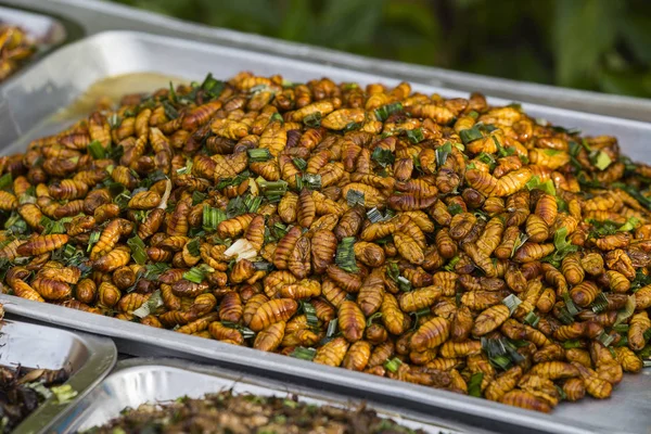 Gebakken zijderupsen in market, Thailand. Close-up — Stockfoto