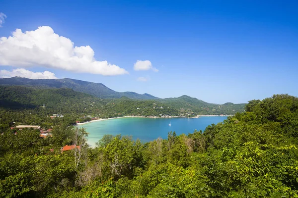 Tropical beach, coconut palm tree och blå havsvatten. Thailand — Stockfoto
