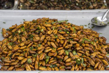 Fried ipekböceği pazarda, Tayland. Yakın çekim