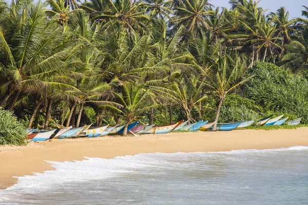 Palmeiras de coco e barcos de madeira na praia de areia — Fotografia de Stock