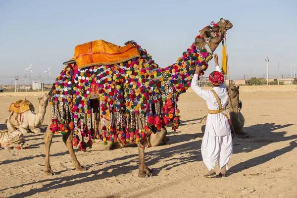 Kamele und indische Männer nehmen am Wüstenfest teil. jaisalmer, rajasthan, indien — Stockfoto