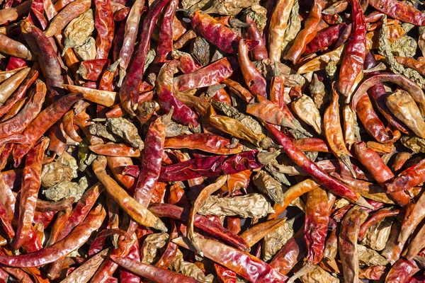 Tło czerwone hot chili peppers w Nepalu — Zdjęcie stockowe
